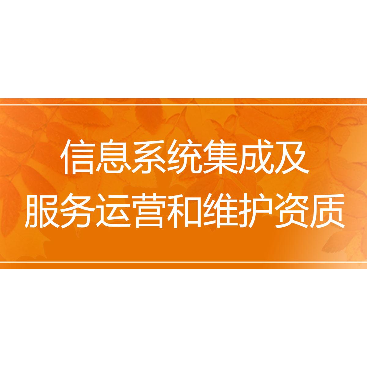 信息系统集成及服务运营和维护资质